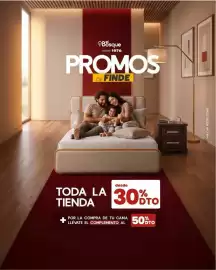 Catálogo Muebles el Bosque Página 1