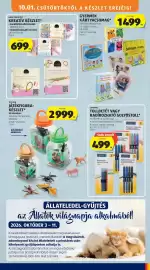 ALDI akciós újság Oldal 31