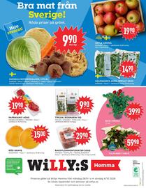 Willys Hemma reklamblad vecka 40 Sida 4: ROS I KRUKA €39,90, BABYPLOMMONTOMATER 500G €29,90