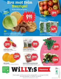 Willys Hemma reklamblad vecka 40 Sida 4: ROS I KRUKA €39,90, BABYPLOMMONTOMATER 500G €29,90