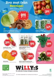 Willys reklamblad vecka 40 Sida 8: SVENSKA ROTGRÖNSAKER, VITKÅL €9,90, BABYPLOMMONTOMATER 500G €29,90