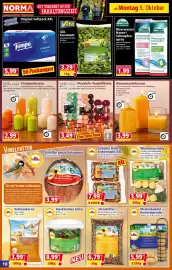 Norma Prospekt woche 41 Seite 10: Insektenmix Eimer €8,99, Bella casa Maxiduft-/Teeduftlichte €3,49