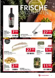 Transgourmet Flugblatt woche 41 Seite 23: Pasqua Desire Lush-Zin Primitivo Puglia €7,99, Zanderfilet mit Haut €27,49