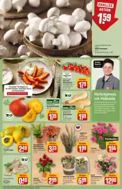 REWE Prospekt woche 40 Seite 13