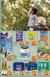 REWE Prospekt woche 40 Seite 31