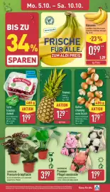 Aldi Nord Prospekt woche 41 Seite 3