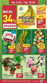 Aldi Nord Prospekt woche 41 Seite 3: Ananas €1,29, GARDENLINE Premium-Pfingstrosenknolle €1,99
