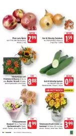 E-Center Prospekt Seite 12