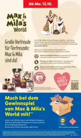 Lidl Prospekt woche 41 Seite 66