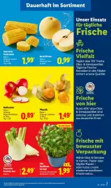 Lidl Prospekt woche 41 Seite 7