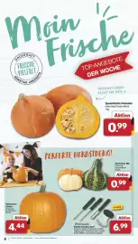 Famila Nord West Prospekt Seite 4