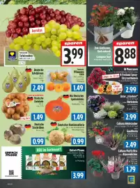 EDEKA Hahner Prospekt Seite 7