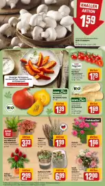 REWE Prospekt woche 40 Seite 13