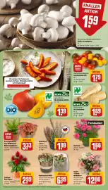 REWE Prospekt woche 40 Seite 13