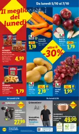 Volantino Lidl settimana 40 Pagina 53: McCennedy Anelli di cipolla in pastella €1,79, Uva Red Globe €1,99