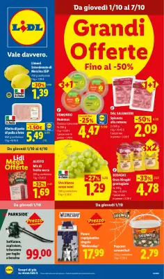 Lidl (valido fino al 7-10)
