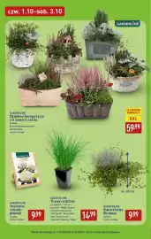 ALDI gazetka tydzień 40 Strona 43: GARDENLINE Ozdobna kompozycja z 5 żywych roślin €59,99