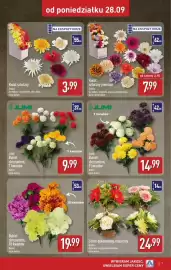 ALDI gazetka tydzień 40 Strona 7: Stroik dekorowany, misa mini €24,99, Kwiat sztuczny €3,99