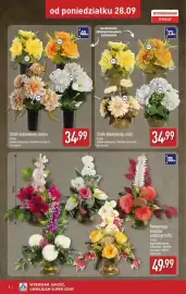ALDI gazetka tydzień 40 Strona 8: Kompozycja kwiatów sztucznych XXL €49,99, Stroik dekorowany, misa €34,99
