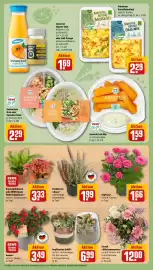 REWE Kaufpark Prospekt woche 40 Seite 7