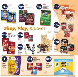 Family Dollar weekly ad week 40 Page 11: Family Pet Dry Dog or Puppy Food €10,00, Purina dog chow €16,00