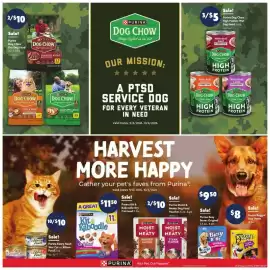 Family Dollar weekly ad week 40 Page 12: Purina busy bones original €9,50, Purina Beggin' Dog Treats €8,00