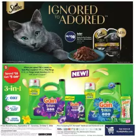Family Dollar weekly ad week 40 Page 13