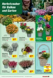 Toom Baumarkt Prospekt Seite 17