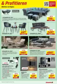 Toom Baumarkt Prospekt Seite 3