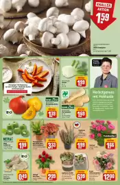 REWE Center Prospekt woche 40 Seite 13