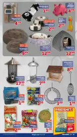 CENTERSHOP Prospekt woche 40 Seite 13