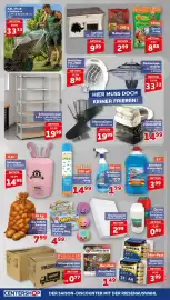 CENTERSHOP Prospekt woche 40 Seite 20