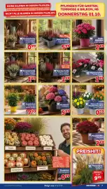 CENTERSHOP Prospekt woche 40 Seite 7
