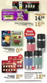 Scheck-in-Center Prospekt woche 40 Seite 55