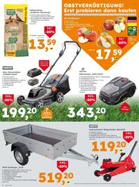Globus Baumarkt Prospekt Seite 4