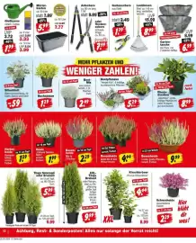 Repo Markt Prospekt Seite 10