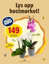 Coop Prix kundeavis uke 40 Side 15: ORKIDÉ, Medlemspris