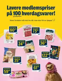 Coop Prix kundeavis uke 40 Side 17: Coop Kjøttdeig €86,90, Coop Kylling-Nuggets €75,90