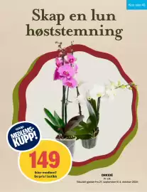 Matkroken kundeavis uke 40 Side 12: ORKIDÉ, Medlemspris