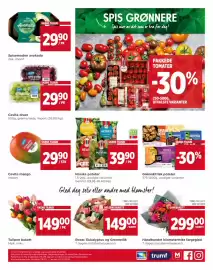 Meny kundeavis Side 6: Håndbundet blomstermiks fargeglad €299,00, Cevita druer €29,90