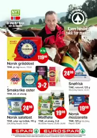Spar kundeavis uke 40 Side 7: Matfløte €19,90, Norsk salatost €24,90