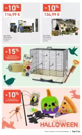Tom&Co folder Pagina 5: Exo terra terrarium kit €134,99, Accessoires en kooien voor siervogels