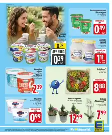 EDEKA Berger Prospekt woche 40 Seite 7