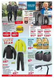 Multi Markt Prospekt woche 40 Seite 17
