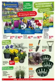 Multi Markt Prospekt woche 40 Seite 18