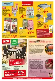 Multi Markt Prospekt woche 40 Seite 19