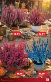 Catalog Kaufland săptămâna 40 Pagină 20