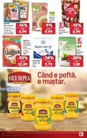 Catalog Kaufland săptămâna 40 Pagină 40: Bio Muguri de pin €9,99, Diamant zahăr alb stick €3,79