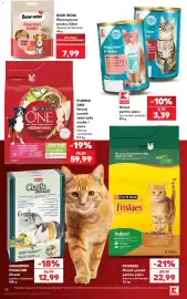 Catalog Kaufland săptămâna 40 Pagină 74: Bow wow Recompense pentru Câini €7,99, Purina One €59,99