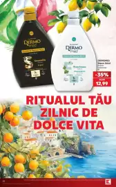 Catalog Kaufland săptămâna 40 Pagină 22: Dermomed Săpun lichid €12,99